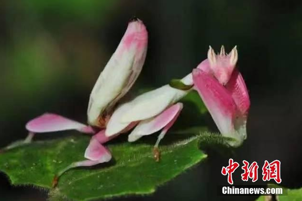 我的世界怎么设置传送点